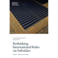 Rethinking International Rules on Subsidies