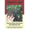 How-to Plant and Grow the Elderberries: An Easy Guide to Planting these Fast Growing Berry Shrubs for Healthy Fruit and More