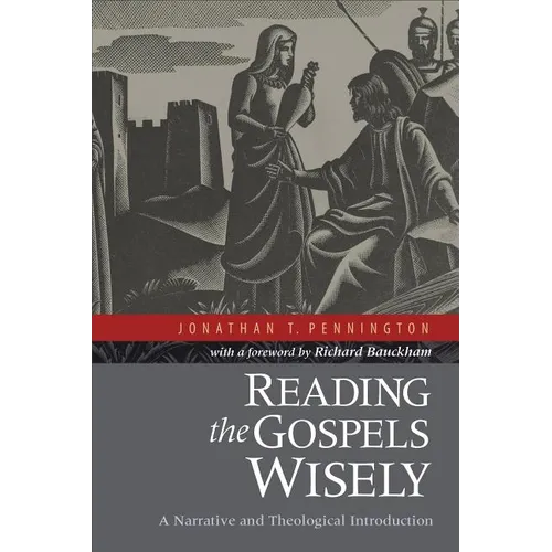 Reading the Gospels Wisely: A Narrative and Theological Introduction