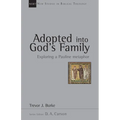Adopted Into God's Family: Exploring a Pauline Metaphor Volume 22