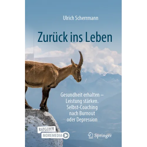 Zurück Ins Leben: Gesundheit Erhalten - Leistung Stärken. Selbst-Coaching Nach Burnout Oder Depression