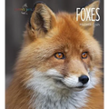 Foxes