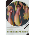Pitcher Plants: Plant Guide