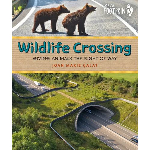 Wildlife Crossing: Giving Animals the Right-Of-Way