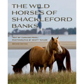 Wild Horses of Shackleford Banks