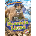 Mountain Lions
