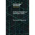 Artificial Intelligence and Public Policy