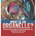 What is an Organelle? Identifying Organelles and Examining Cell Organelle Functions Grade 6-8 Life Science
