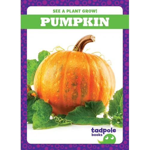 Pumpkin