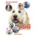 Awesome Miracle Stories: Therapy Dog Casper