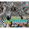 All about Animals - Animal Groups