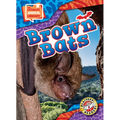Brown Bats