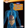 Your Digestive System