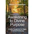Awakening To Divine Purpose: A Guide Through the Six Stages of Spiritual Transformation