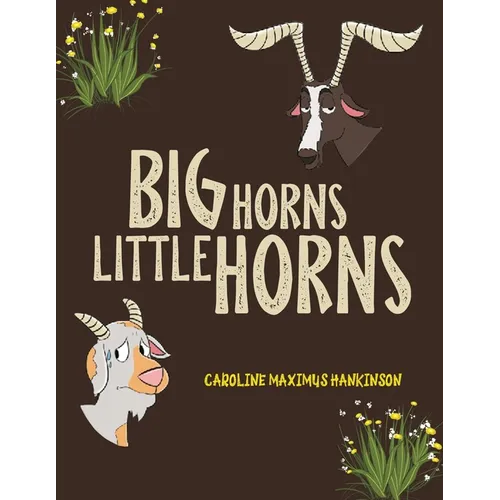 Big Horns Little Horns