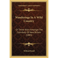 Wanderings In A Wild Country: Or Three Years Amongst The Cannibals Of New Britain (1883)