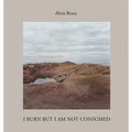 I Burn But Am Not Consumed