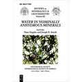 Water in Nominally Anhydrous Minerals