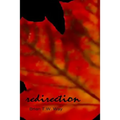 Redirection: The Prime Sonnets and Other Poems