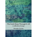 The Gods Sleep Through It All: A collection of essays
