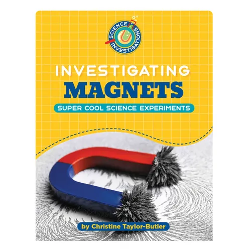 Investigating Magnets