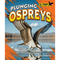 Plunging Ospreys