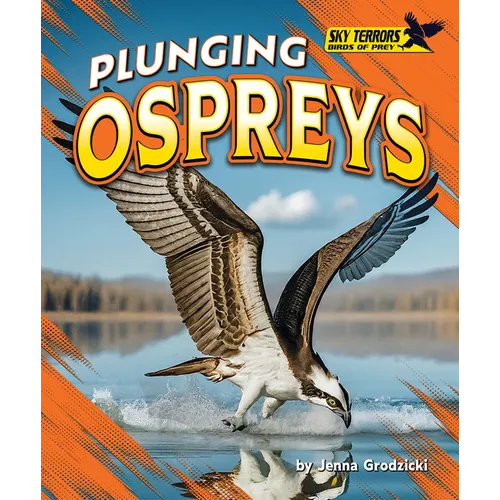 Plunging Ospreys