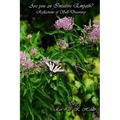 Are You an Intuitive Empath?: Reflections of Self Discovery