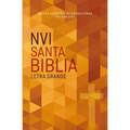 Nvi, Santa Biblia, Revisión 2022, Edición Económica, Letra Grande, Tapa Rústica