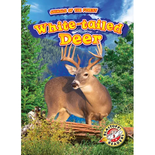 White-Tailed Deer