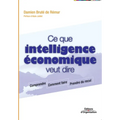 Ce que intelligence économique veut dire: Comprendre. Comment faire. Prendre du recul.