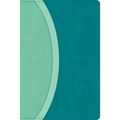CSB Rainbow Study Bible, Teal Leathertouch (Limited Edition)