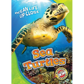 Sea Turtles