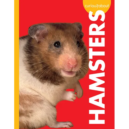 Curious about Hamsters