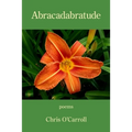 Abracadabratude