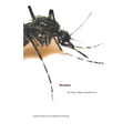 Mosquito: The Story of Man's Deadliest Foe