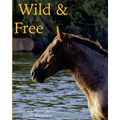 Wild & Free