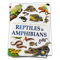 Animals: Reptiles and Amphibians