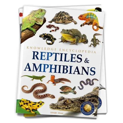 Animals: Reptiles and Amphibians