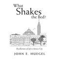 What Shakes the Bed?: Recollections of Life in Mexico City