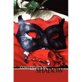 Conversation with a Shadow
