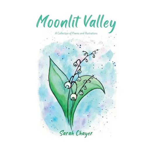 Moonlit Valley