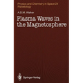 Plasma Waves in the Magnetosphere