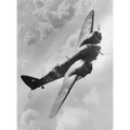 Bristol Blenheim