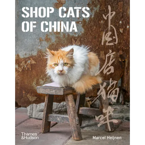 Shop Cats of China
