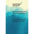 Rich Experience and Sparse Awareness: Sensing More Than We Know