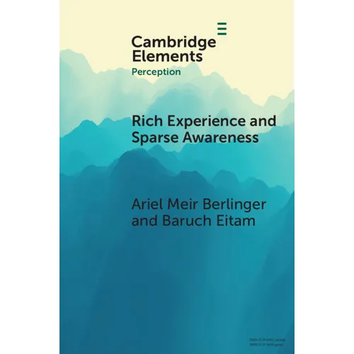 Rich Experience and Sparse Awareness: Sensing More Than We Know