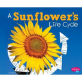 A Sunflower's Life Cycle
