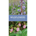Wildflowers of the Indiana Dunes National Park