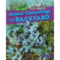 Animal Camouflage in a Backyard